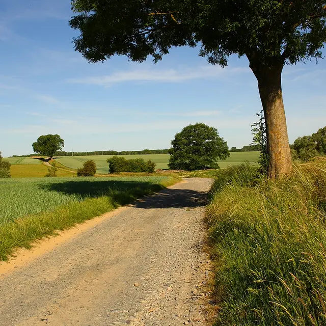 chemin du moinil à héron - (c) M. Houbart version web.JPG