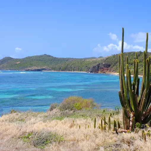 randonnée trace des cpas 2 .jpg