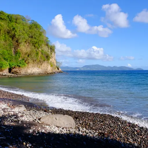 pla cas pil veti  copie.jpg