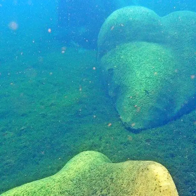 13198625_903262363116076_ copie.jpg