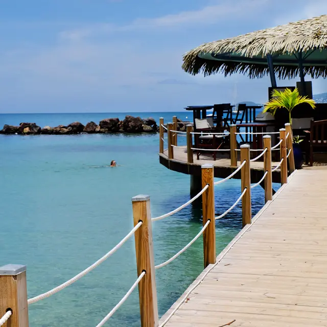 PLA ALA BAK 5 copie.jpg