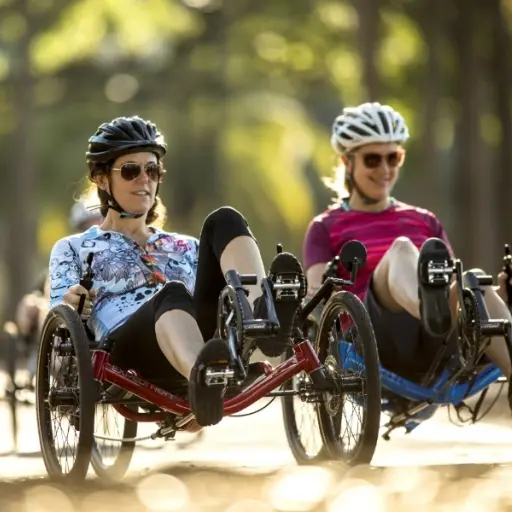 trike 1.jpg