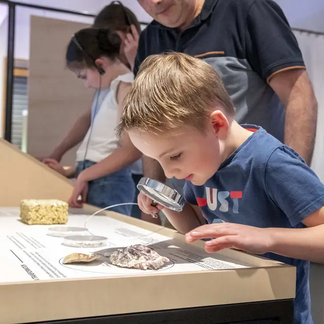 Ostréapolis Le Tour-du-Parc_MVA3657.jpg