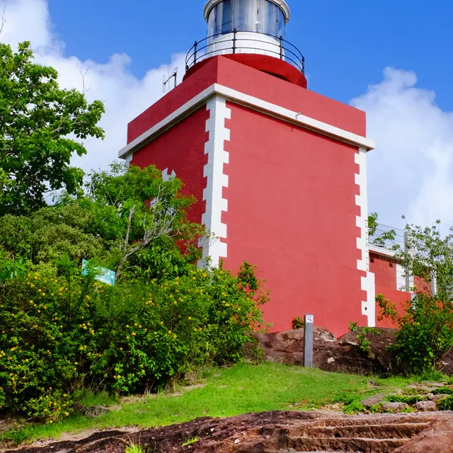 phar trini 4 copie.jpg