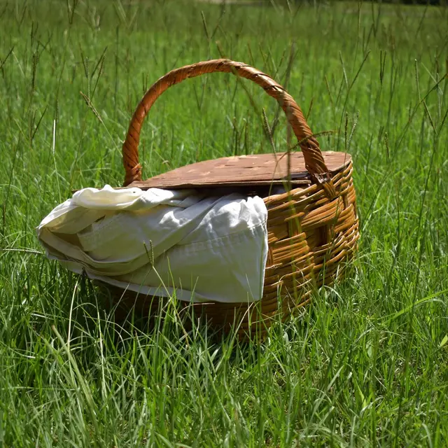 picnic-5421517.jpg