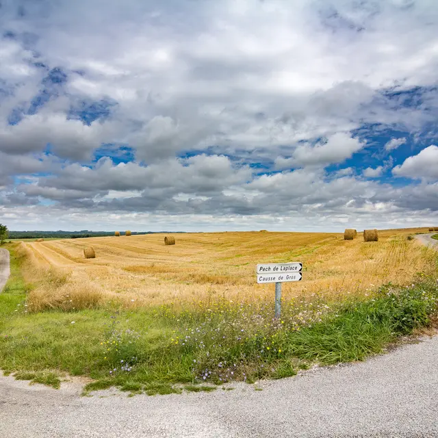 Champs et route en Quercy Blanc © Lot Tourisme - C. Novello 170727-115438.jpg