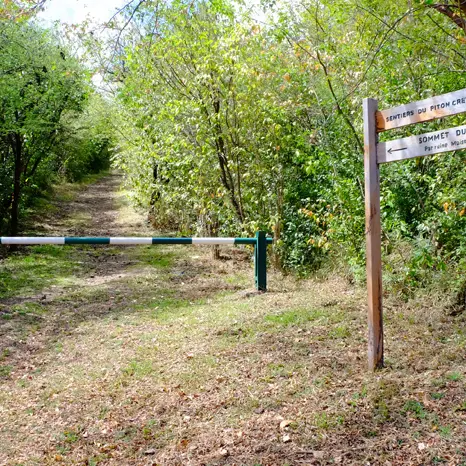 piton crev coeur 3 copie.jpg