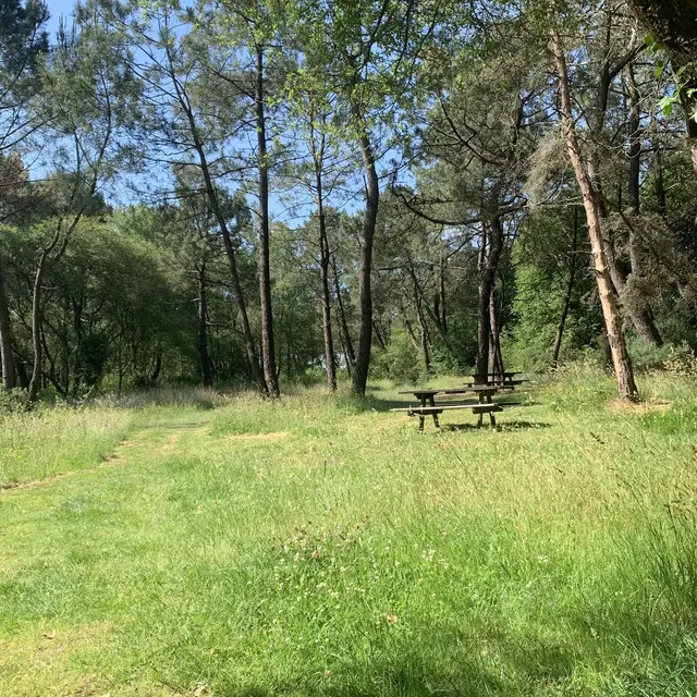 Aire de la butte du Temple (1).jpg