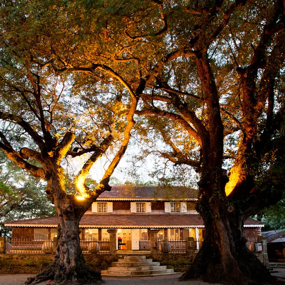 CLEM HABIT 4 copie.jpg