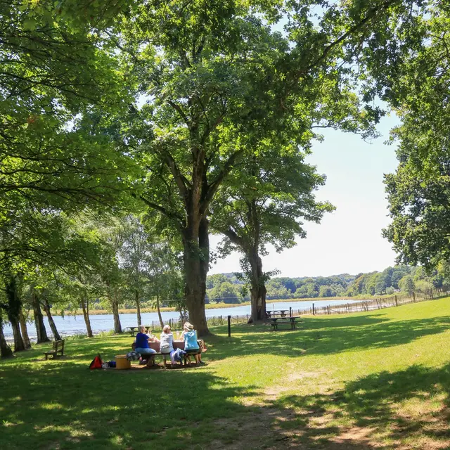 Aire de pique-nique étang du Moulin Neuf (1).jpg