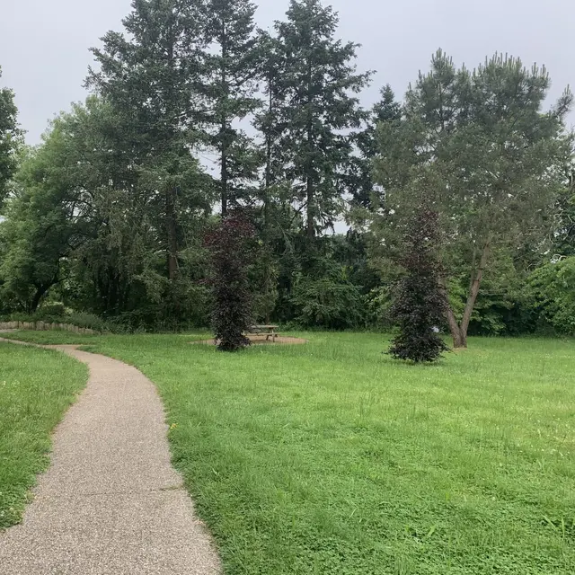 Aire rue Jollivet.jpg