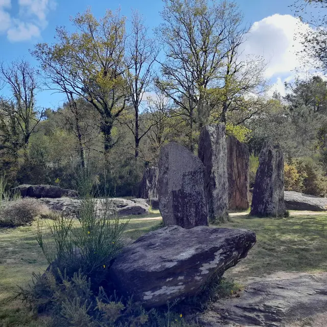 MENHIRS ET LANDES DE MONTENEUF_01© OBC.jpg