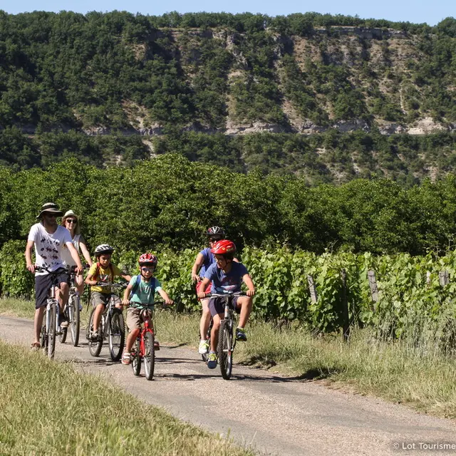 A vélo dans les vignes - Véloroute Vallée du Lot © Lot Tourisme - P. Foresti-Mediart360 150624-173412_1024x682.jpg