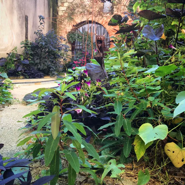Jardin de la Sorcière et du Dragon © C. Novello.JPG