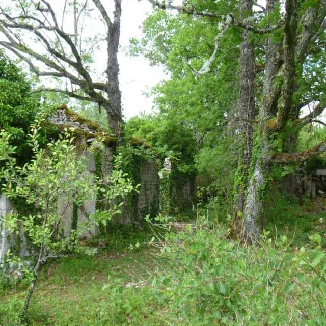ferme ruines © G. Messal.JPG
