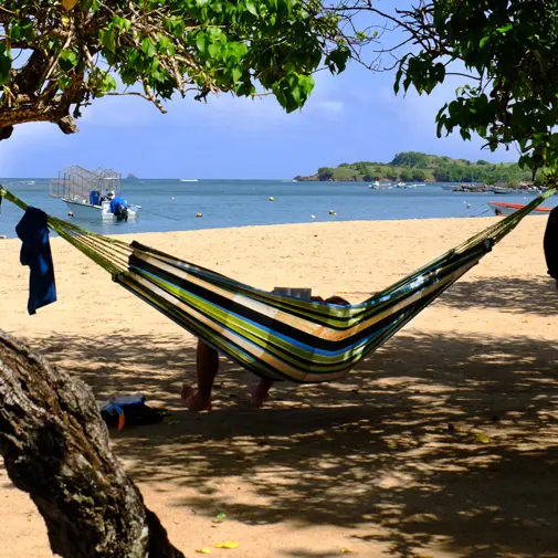 PLA TRI BOU 1 copie.jpg