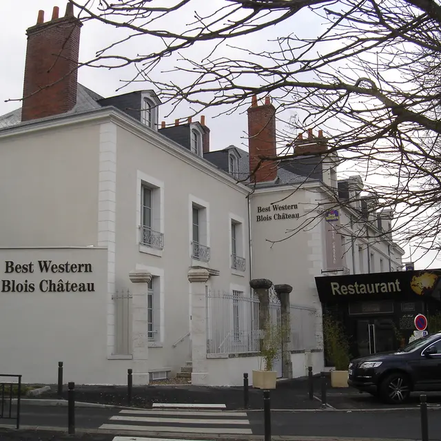 Bw blois chateau (1).jpg