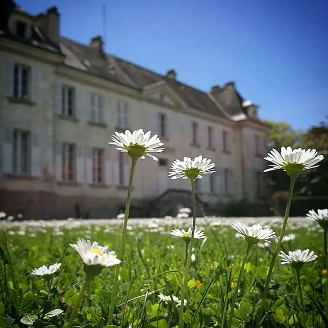 chateau - Didier Debray SportezVousNature.jpg