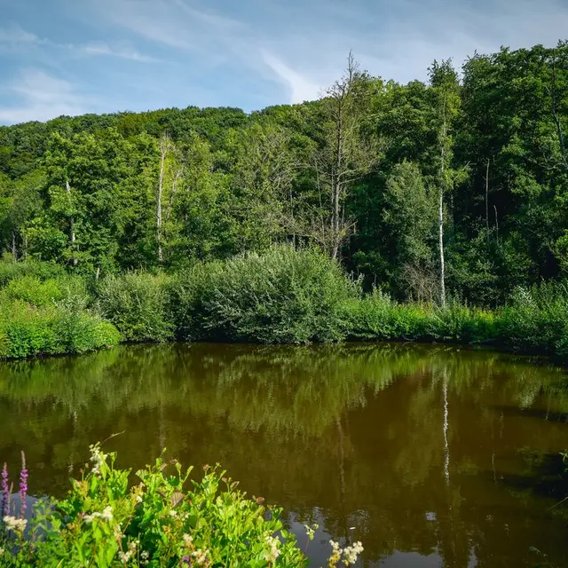 Terres-de-Meuse - La Vallée de la Meuse - Huy - reportage video - Trekking et Voyage-55 web.jpg