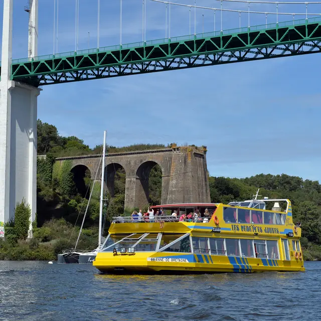 HD Vedette Jaunes  (99).JPG