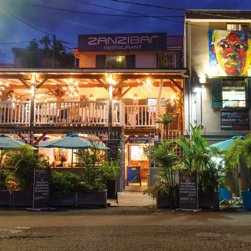 ZANZI 1 copie.jpg