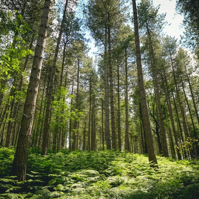 Terres-de-Meuse - La Vallée de la Meuse - Huy - reportage video - Trekking et Voyage-25.jpg
