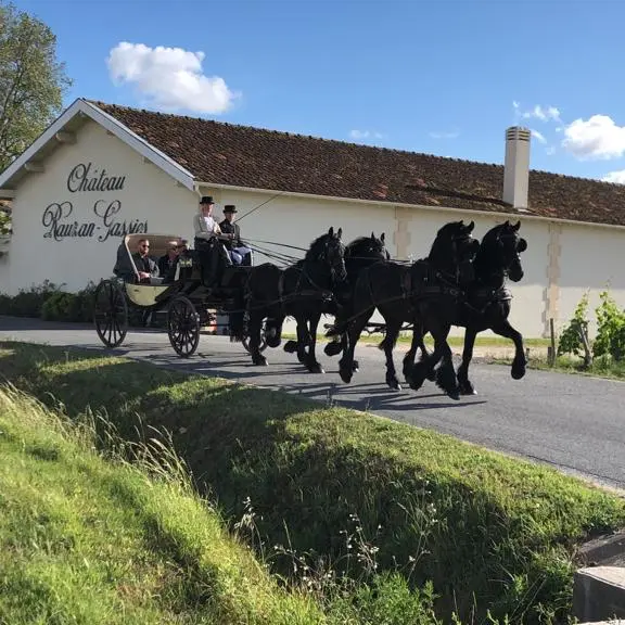 Attelage 1.jpg