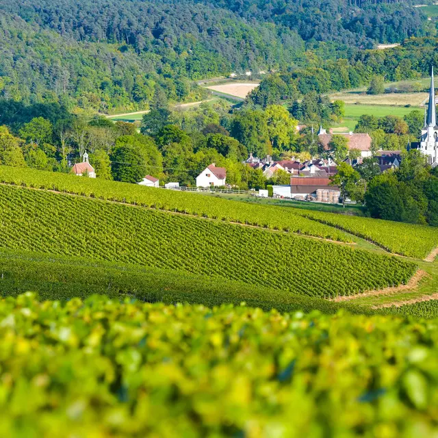 cote-des-bar-champagne.jpg