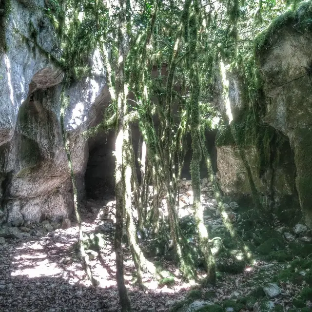 Le Cuzoul de Rémi 2.jpg