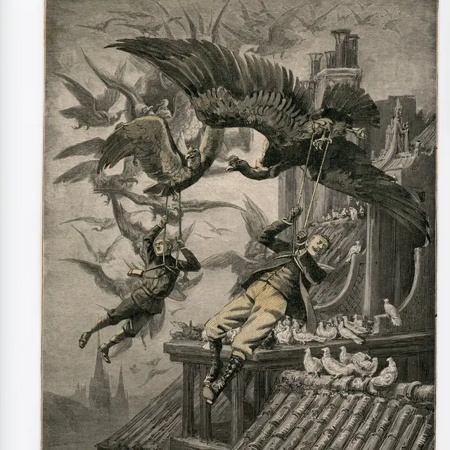 8. Musée de Gravelines - Philippe Lemaire Coller c'est rêver.jpg