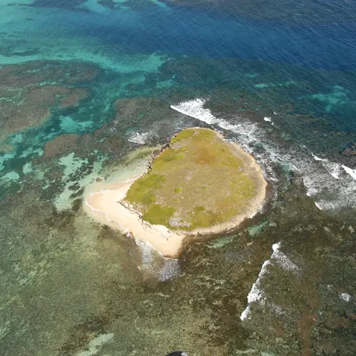 ilet perc 1 copie.jpg