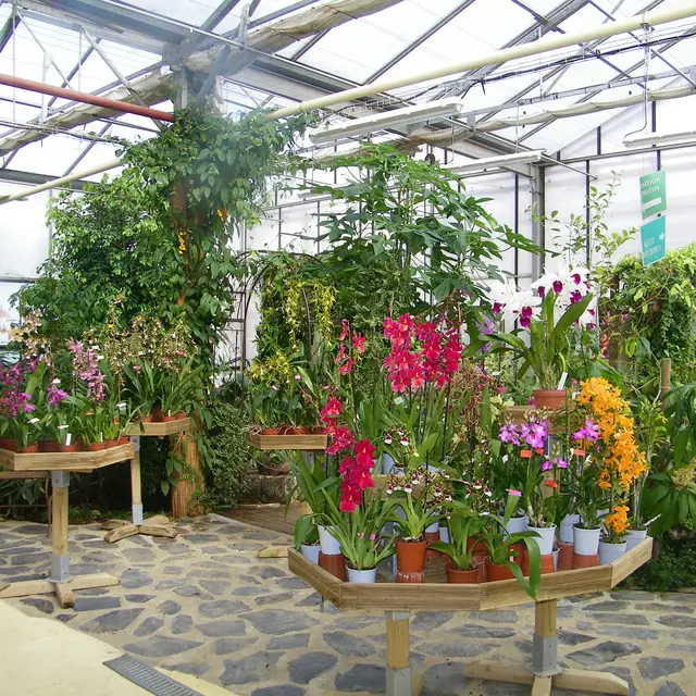 L'Orchidium.JPG