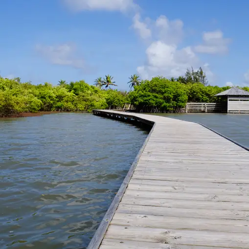 PETRI SAL 4 copie.jpg