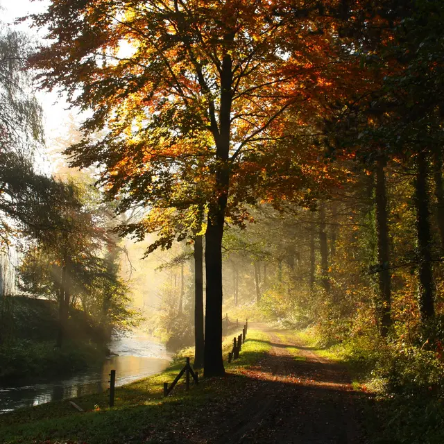 Mehaigne brume automne (c) web Houbart.JPG
