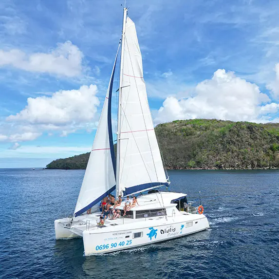 catamaran-aliotis-lesansesd'arlet-martinique.jpg