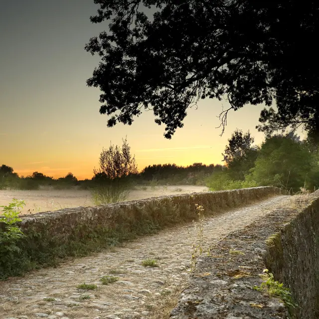 Les-ponts-chartains,-liaison-naturelle-avec-Blois_web.jpg