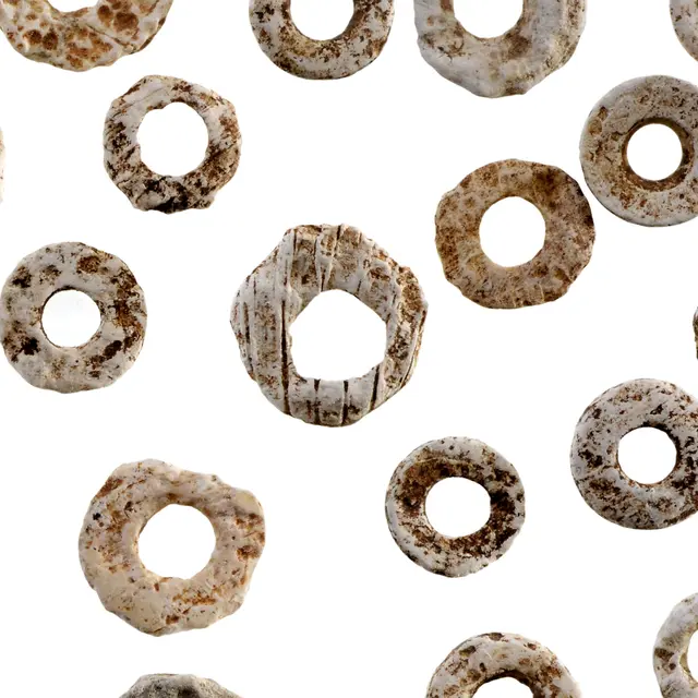 POI 3- Perles en test de coquillage_dolmen double du Pechde Grammont_Gramat.jpg