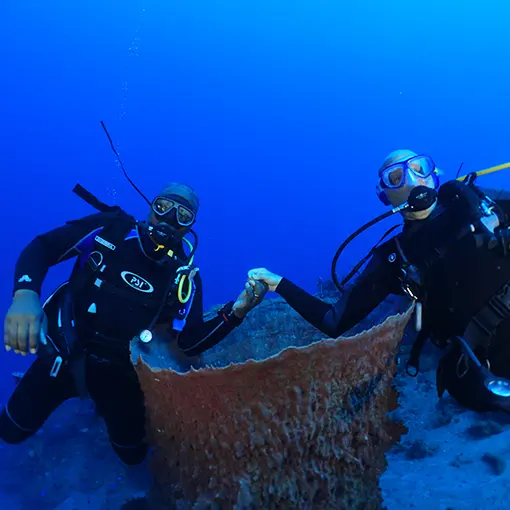 Plongeurs canyons copie.jpg