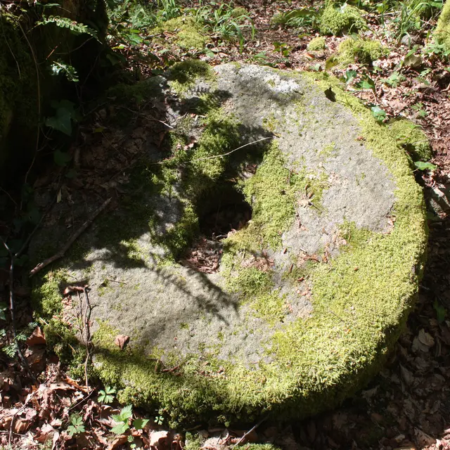 MOULIN DE MONFREU 04 PR.JPG