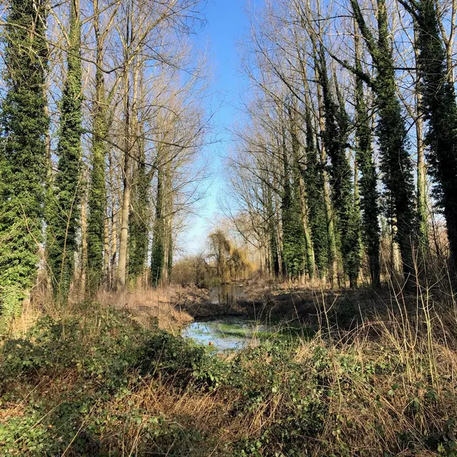 EEC Découverte D-Etang Rosoux1.jpg