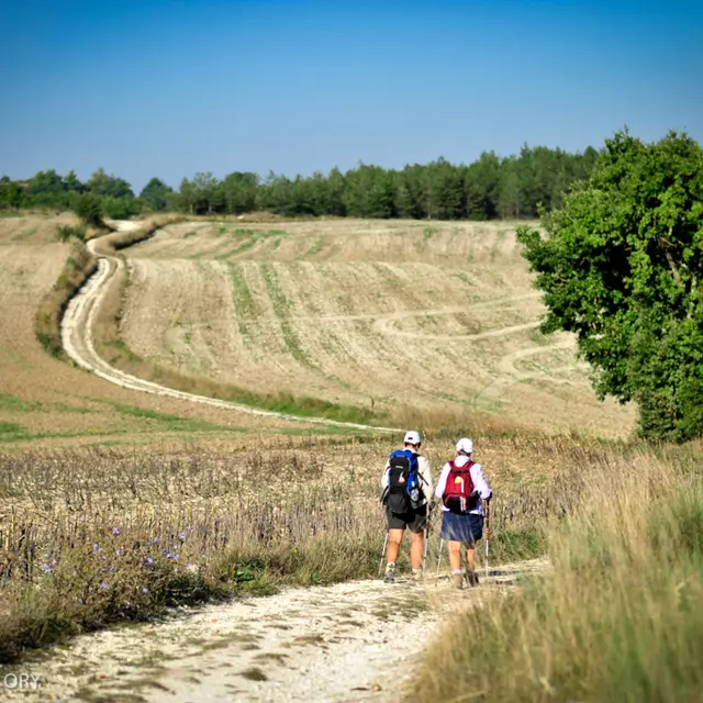 Sur le chemin de St Jacques en Quercy Blanc--© Lot Tourisme - C. ORY-2.jpg
