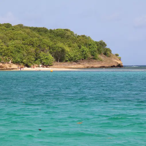 ilt thierry 1 copie.jpg