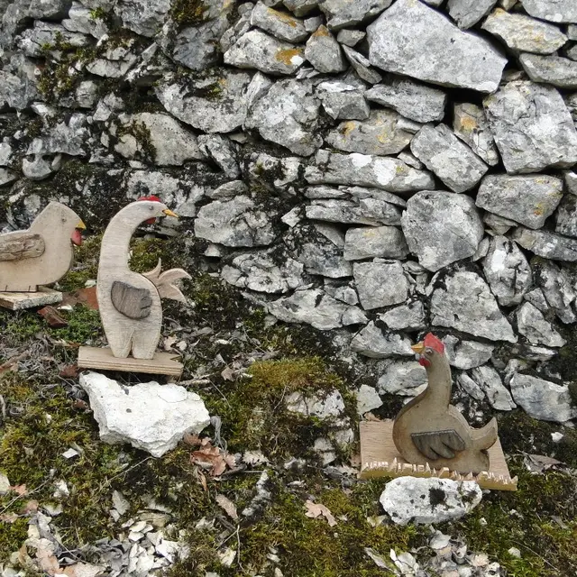 poules à la ferme des Preates © G. Messal.JPG