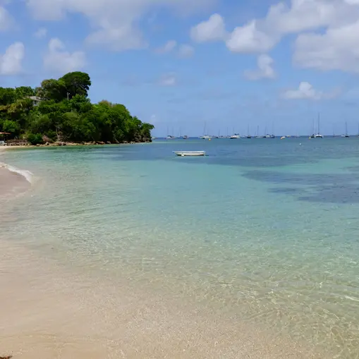 PLA SAN TONN 1 copie.jpg