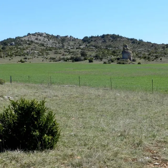 paysage 4.jpg