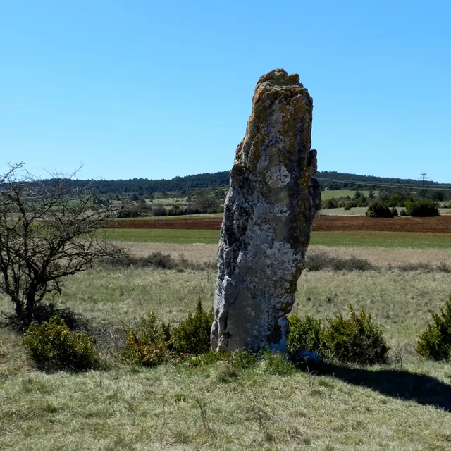 menhir 2.jpg
