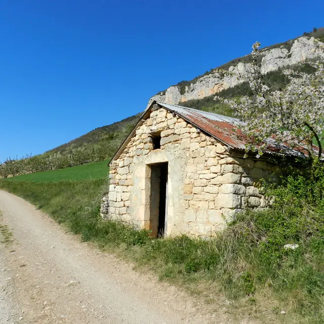 sentier cerise 18.jpg