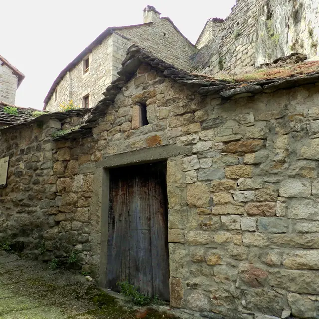 caves à vin 1.jpg