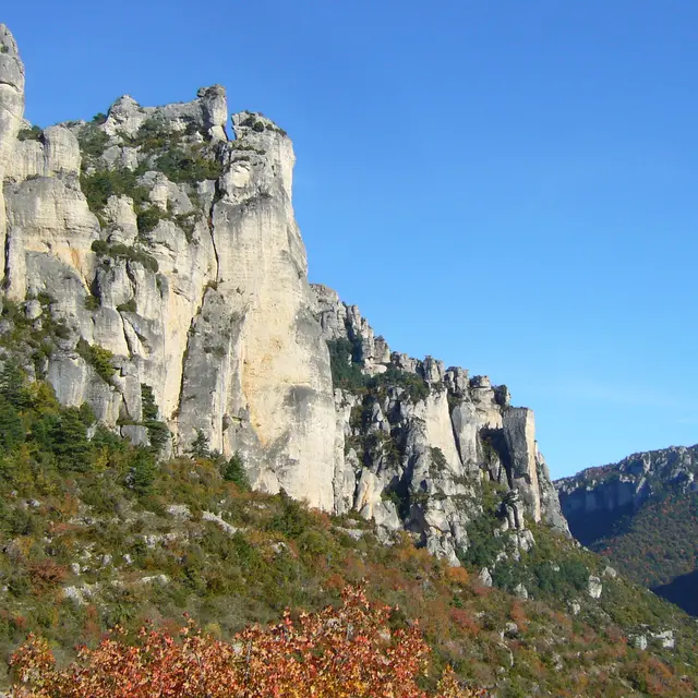 FFgorgesduJonte-Falaises2-c-D.Atché.JPG