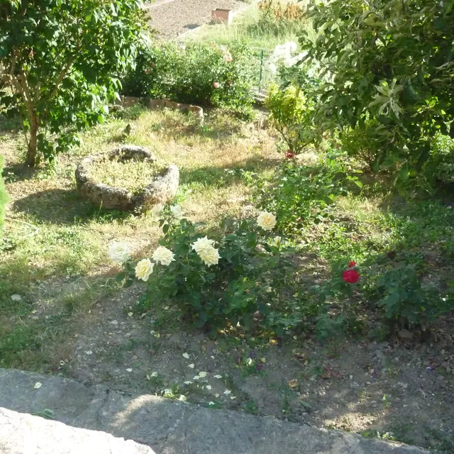 Pise - c JL Bringuier.JPG
